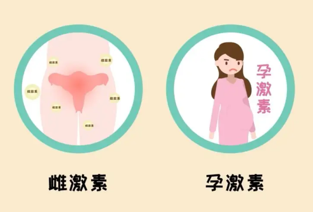 什么是孕激素