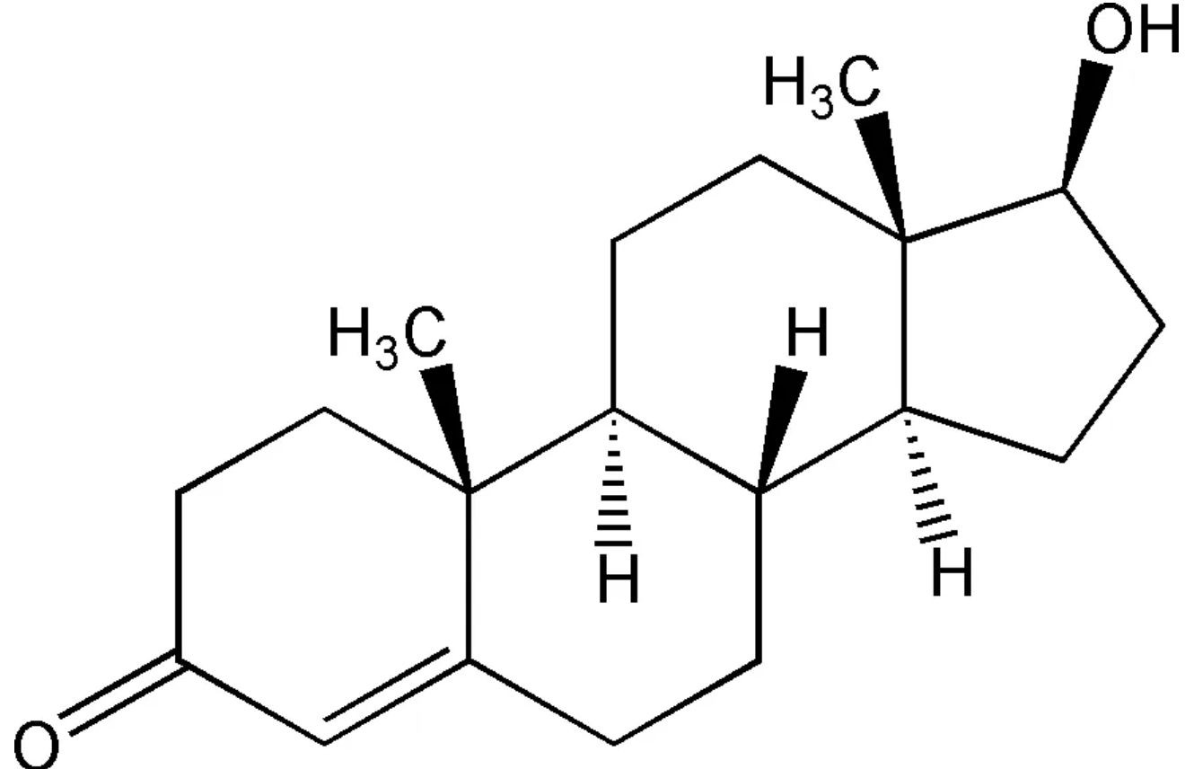什么是睾酮