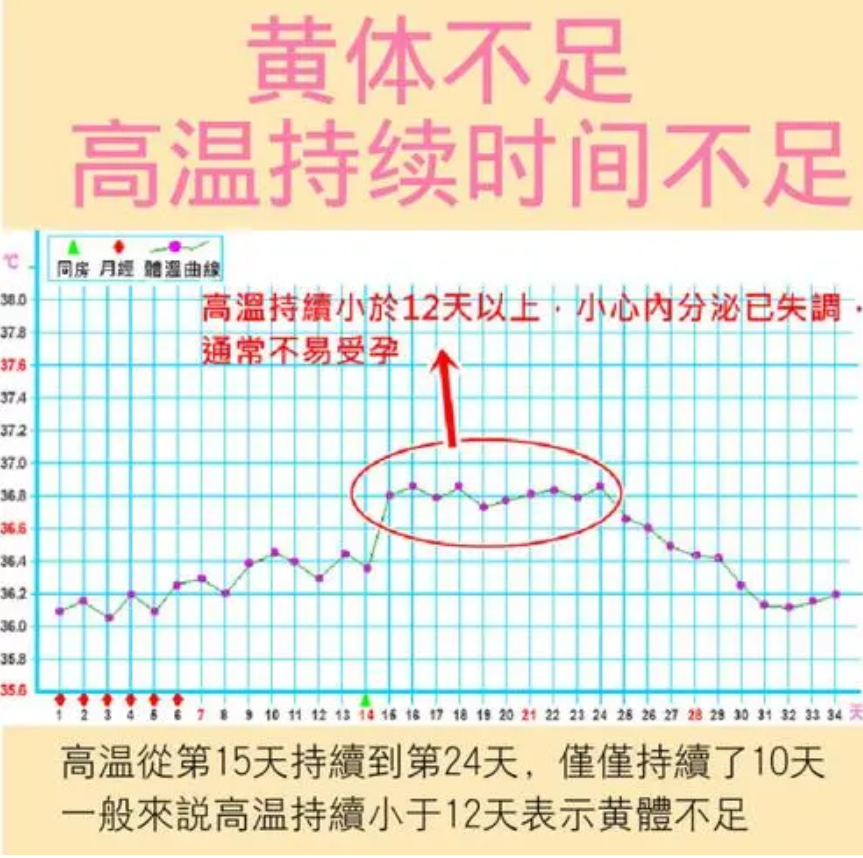 什么是不孕的基础体温测定