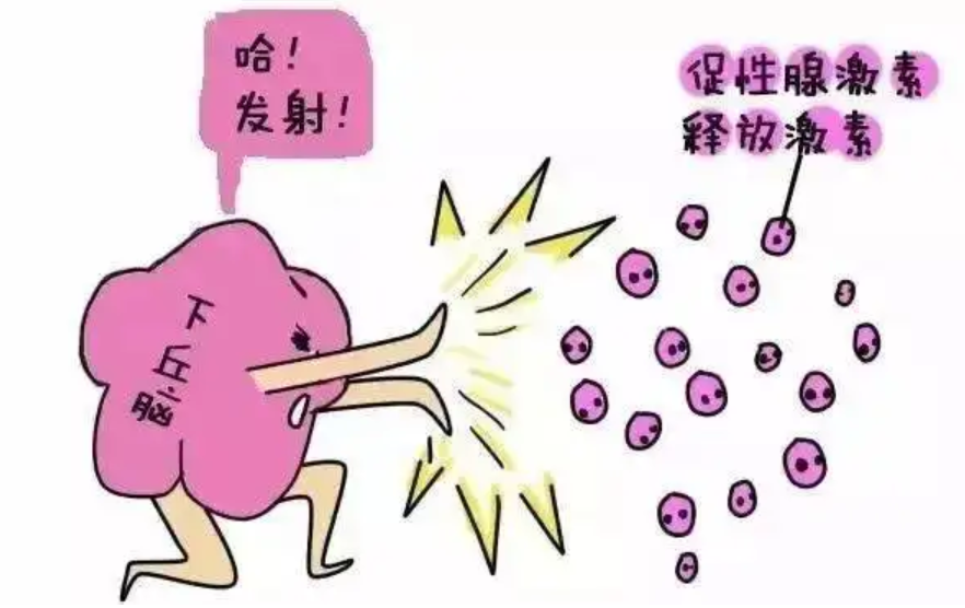 促卵泡生成素月经第三天9.91正常吗