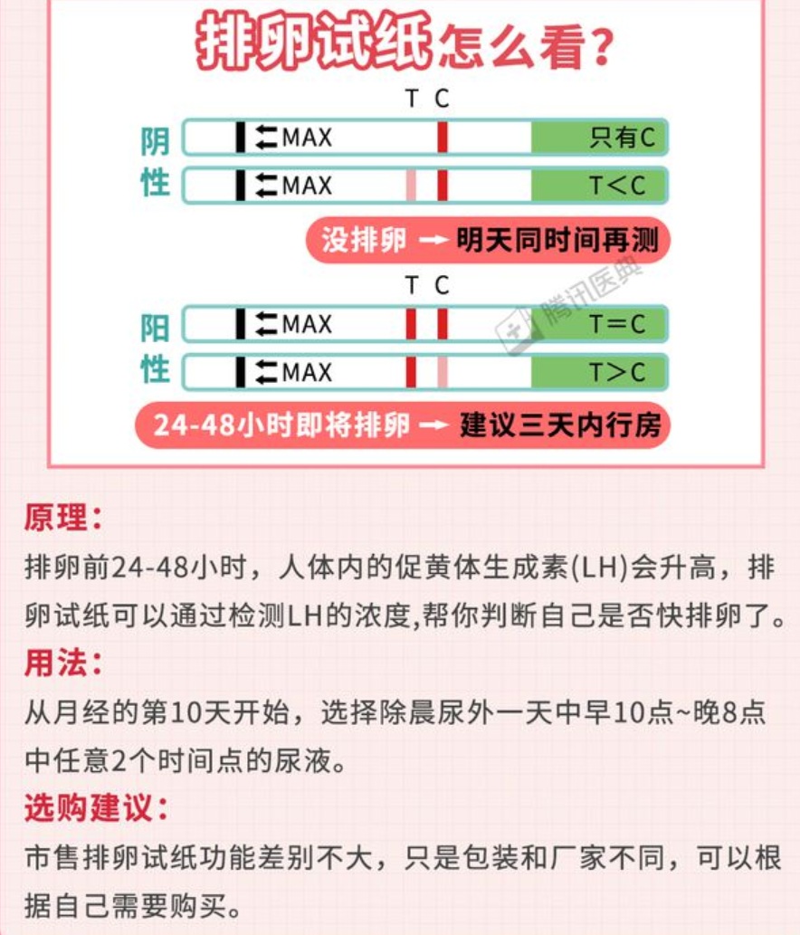 女人排卵时，身体会有这些改变！