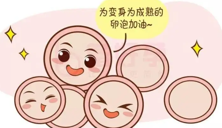 促排卵期间可以同房吗？