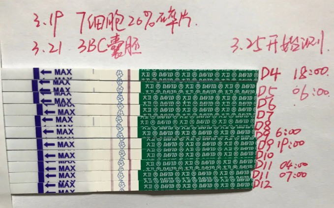 为什么移植囊胚后一点感觉都没有