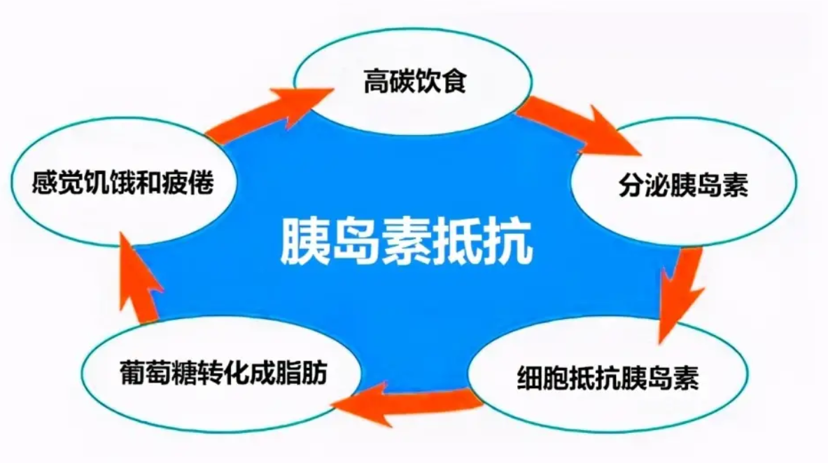 什么是胰岛素抵抗