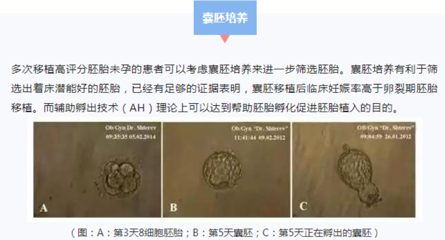反复移植失败的新观点