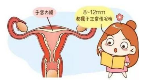 试管婴儿如何选择内膜准备方案?各有哪些优点 