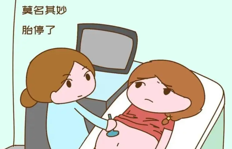 发生3次胎停育，现在一直不怀孕，怎么回事啊？