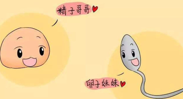 免疫性不孕还能怀上孩子吗？发生胎停后如何备孕？
