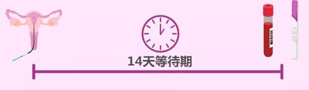  胚胎移植后的14天里运动的相关疑问