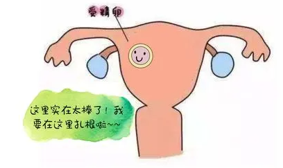 子宫内膜不达标，胚胎移植可以推迟吗？
