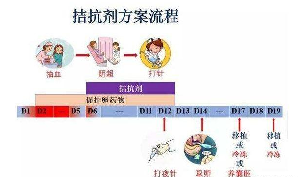 什么是拮抗剂方案？拮抗剂方案的利与弊