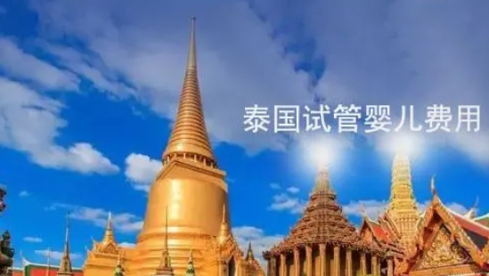 泰国试管婴儿价格?试管费用明细一览