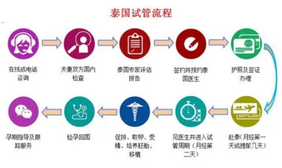 泰国可以借卵做试管婴儿吗？合法吗？