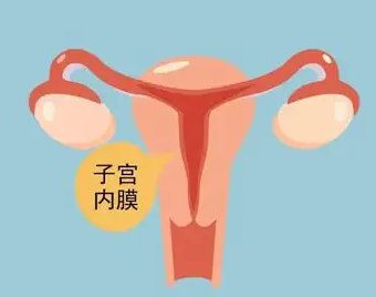 子宫内膜太薄、太厚会影响好孕吗 怎么改善好内膜环境呢