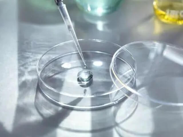 上海试管第一次只能移植一个囊胚到女性子宫是为啥？