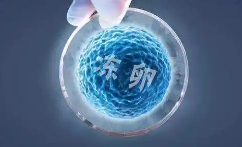 在泰国可以购买的到俄罗斯的卵子吗？