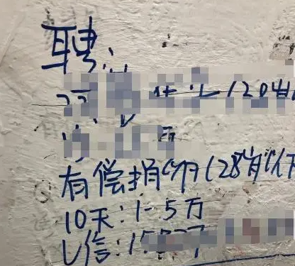 卵子的价格是多少钱一枚，记者暗访调查