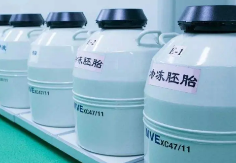 公立医院不能转院移植胚胎主要有以下原因