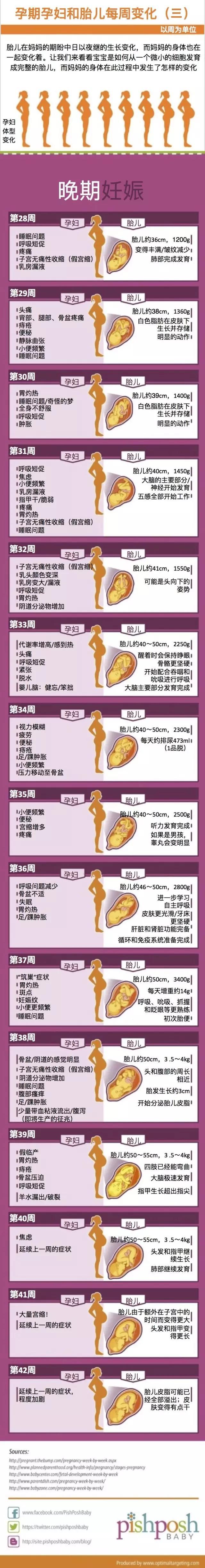孕期你会经历什么?一组图展示0-42周孕妇和胎儿的变化