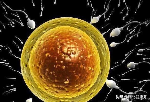 做试管婴儿之前,只要把这5个地方搞明白,以后都不用问医生