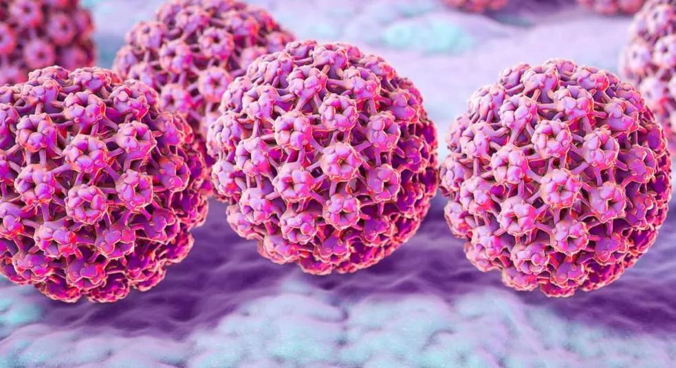 备孕期间查出 HPV 阳性,别慌!先了解这 11 个知识点