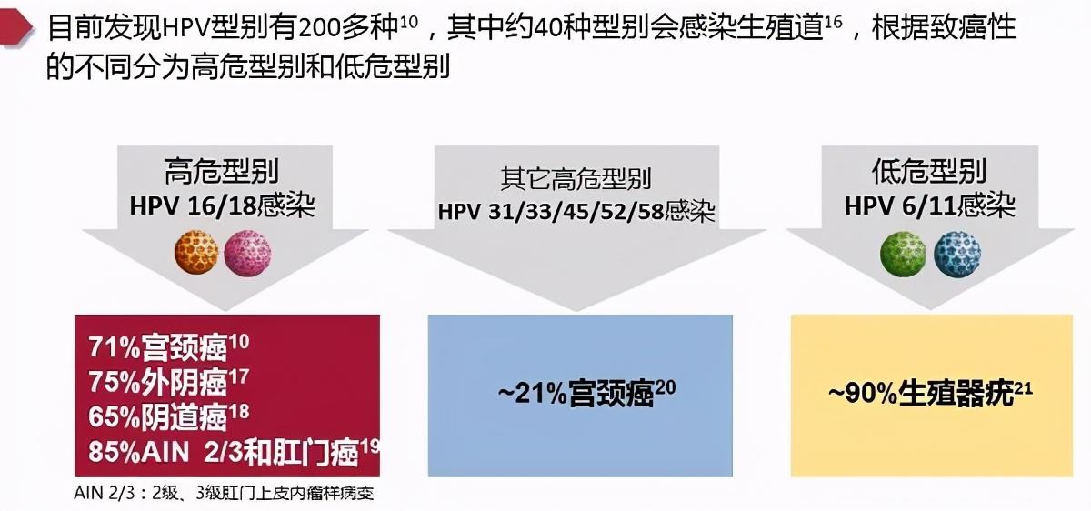 备孕期间查出 HPV 阳性,别慌!先了解这 11 个知识点