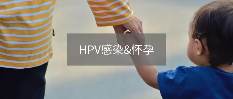 备孕期间查出 HPV 阳性,别慌!先了解这 11 个知识点