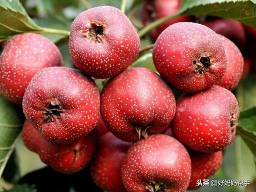 有这4个特征表明宝宝发出积食信号,3种水果炖1锅,积食消得快