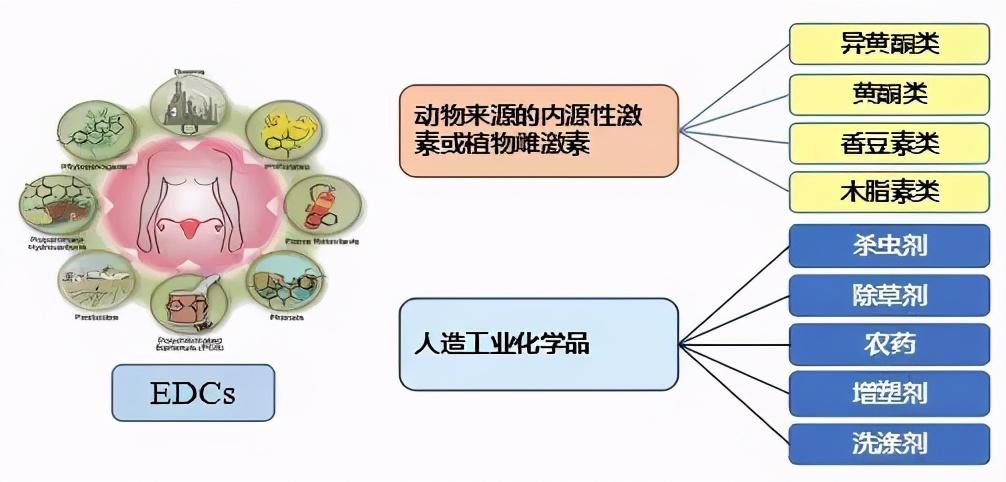 喝豆浆对生育有帮助吗?