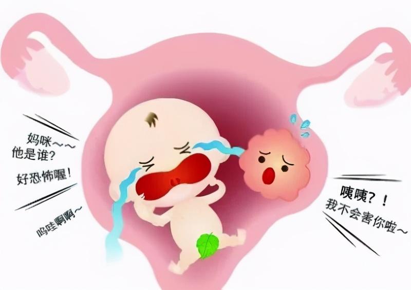 试管婴儿移植失败后,怎样治疗才能提高成功率?