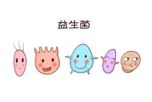 宝宝容易过敏?你孕期有补充益生菌吗?