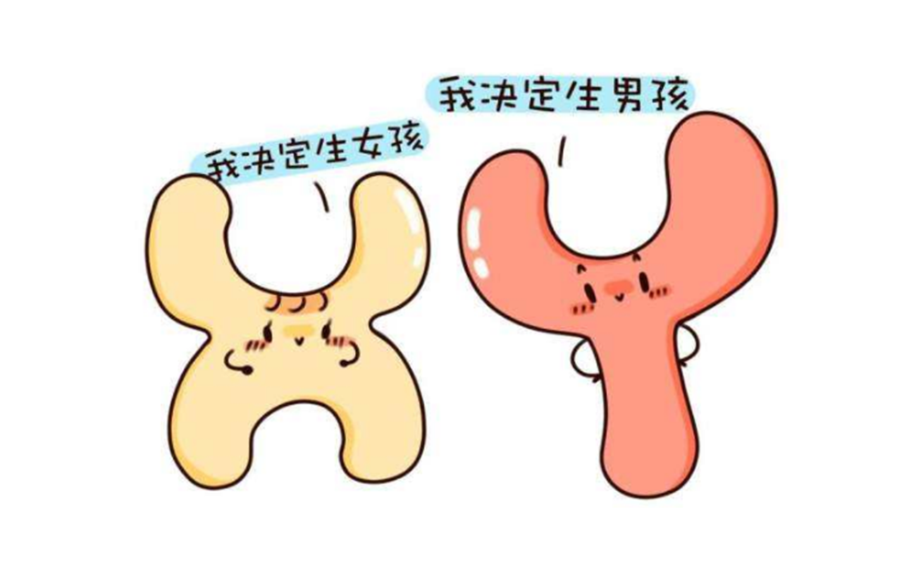 婆婆让多吃碱性食物生男孩,决定生男生女,真的靠体质吗?