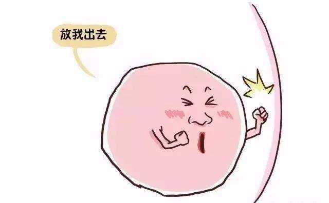 关于冻卵你了解多少?一篇文章告诉你,女性们可别不知道