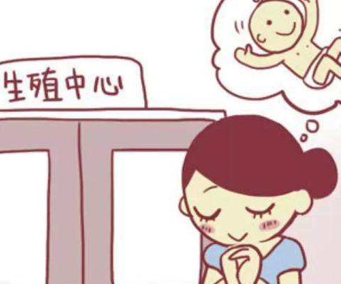 试管之前如何准备,可以提高成功率