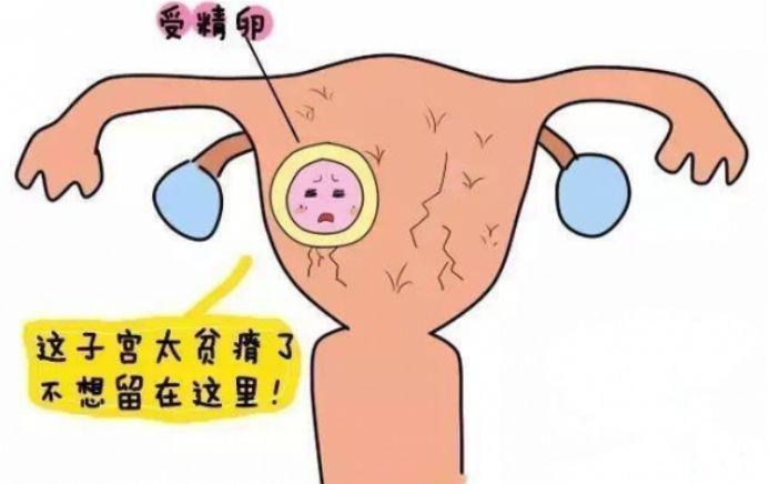 试管移植后胚胎不着床到底是谁的锅?