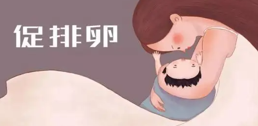 试管多囊需要降调吗?成功率怎么样?