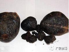 毒品基础知识(一):传统毒品