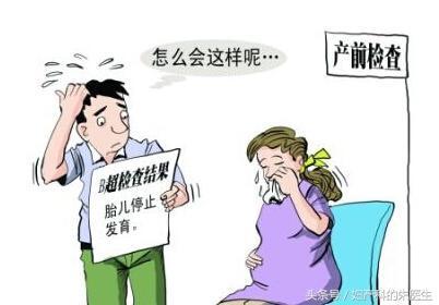如何有效避免“胚胎发育不全”?
