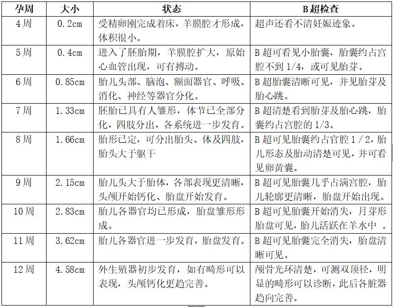 这位准爸爸都相信的孕囊形状看男女方法,真的靠谱儿吗?
