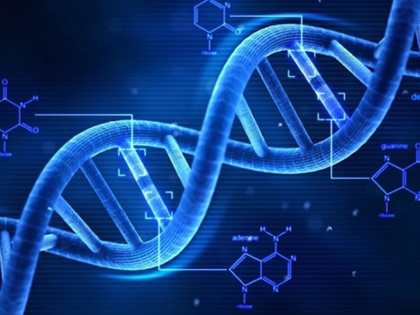 第三代试管pgd技术能排除遗传雀斑代谢病吗？
