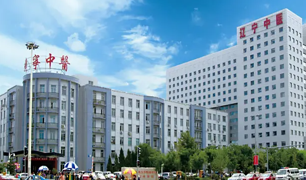辽宁中医药大学附属医院
