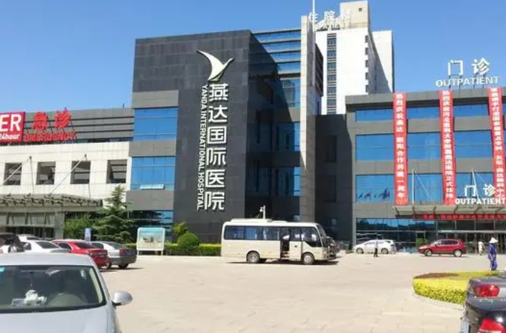燕达国际医院
