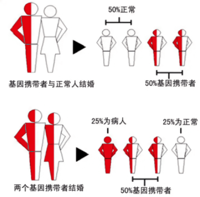 如何预防地中海贫血遗传？