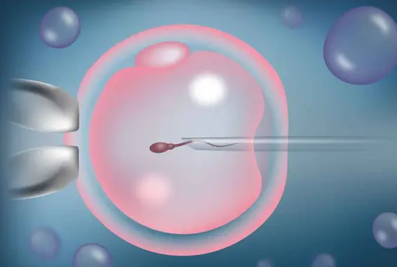 试管婴儿性激素六项作用，性激素检查的关键时间点