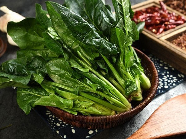 试管囊胚移植后是可以吃菠菜的