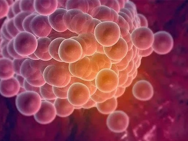 有排卵障碍做试管是用哪种方案怀孕几率更大？