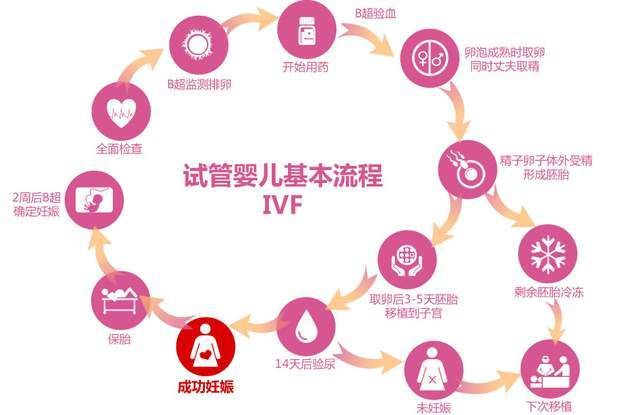 夏季高温做试管婴儿可以吗?有哪些成功秘笈？