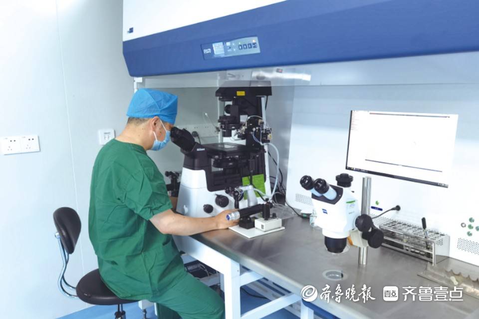 试管中的生命厚度 